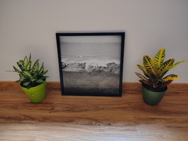 Producto - Costa formato medio