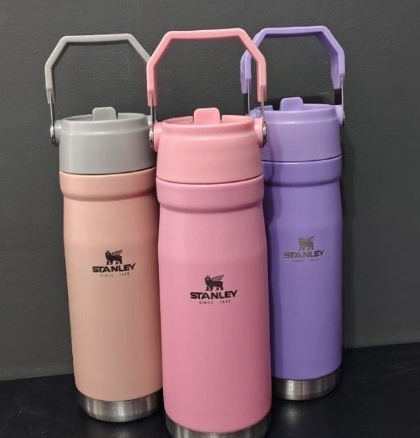 Producto - Hoppies Stanley 650 ML - 1