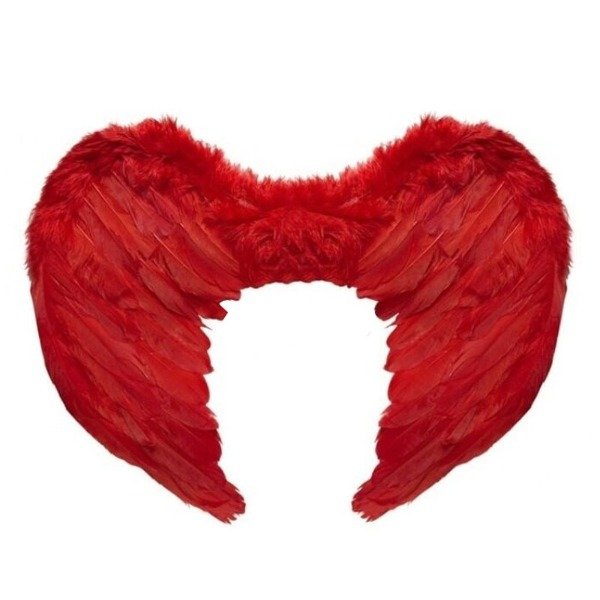 Producto - Alas de angel chicas Blancas