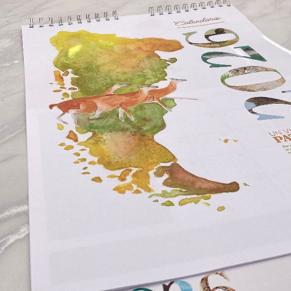 Producto - Calendario Pared 2026