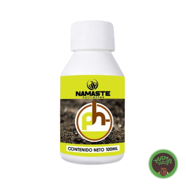 Producto - NAMASTE - PH- 100ML