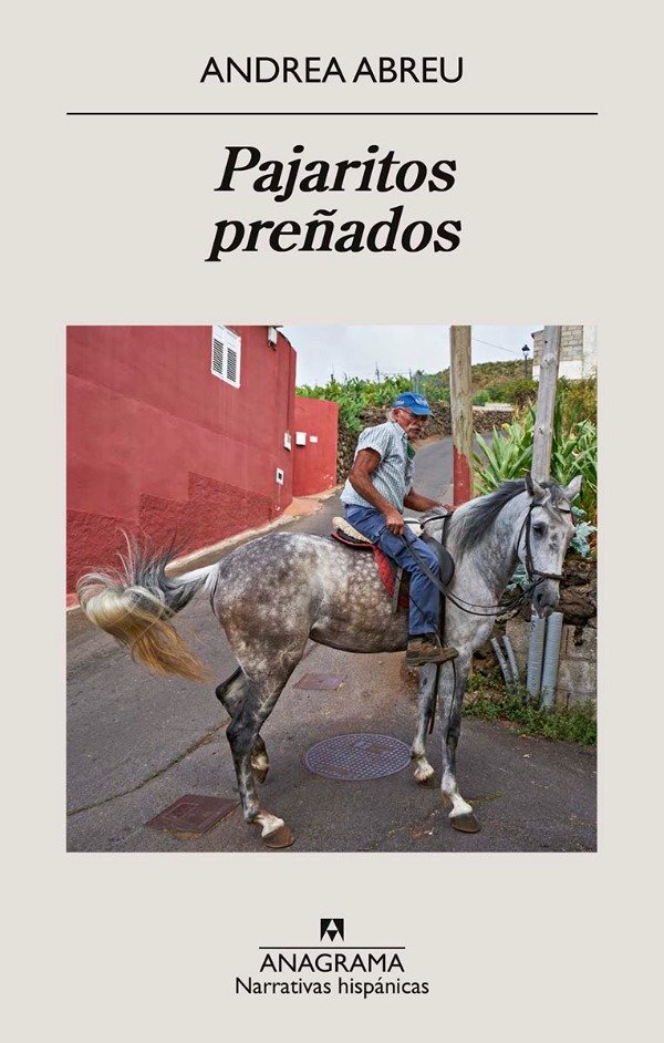 Producto - Pajaritos preñados Andrea Abreu Anagrama