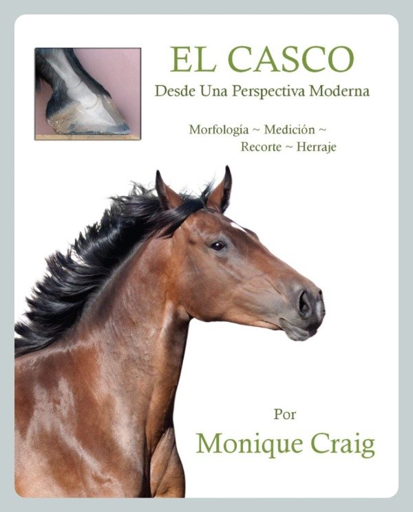 Producto - Craig: El Casco desde una Perspectiva Moderna