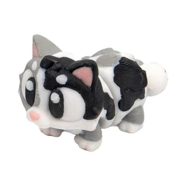 Producto - Gato
