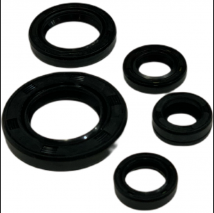 Producto - RETENES DE MOTOR YAMAHA FZ 16 CHINOS