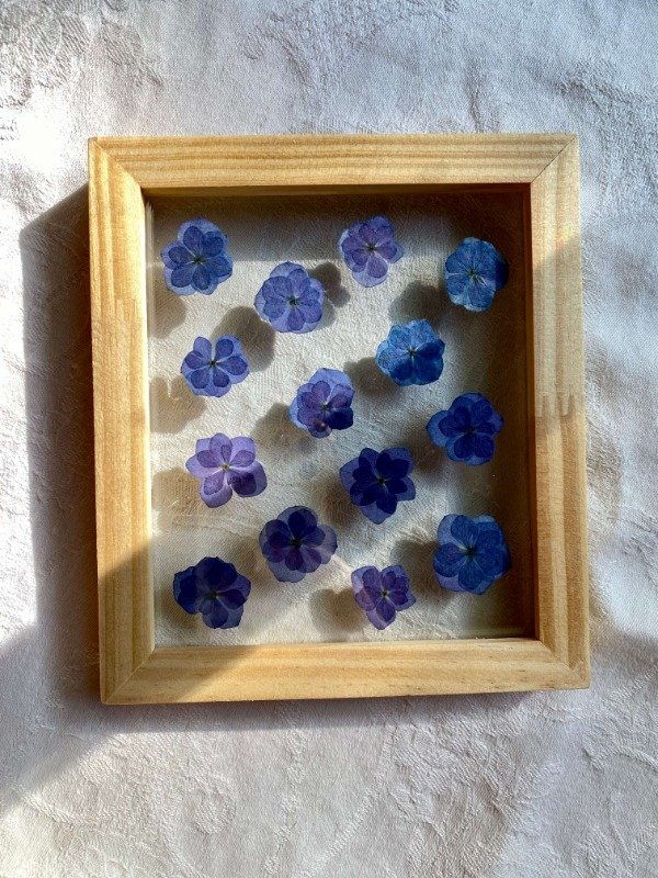 Producto - Hortensia II