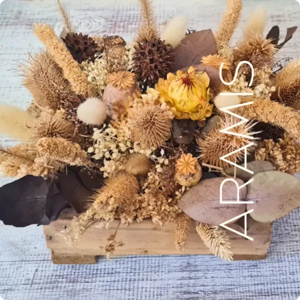 Producto - Estilo COUNTRY