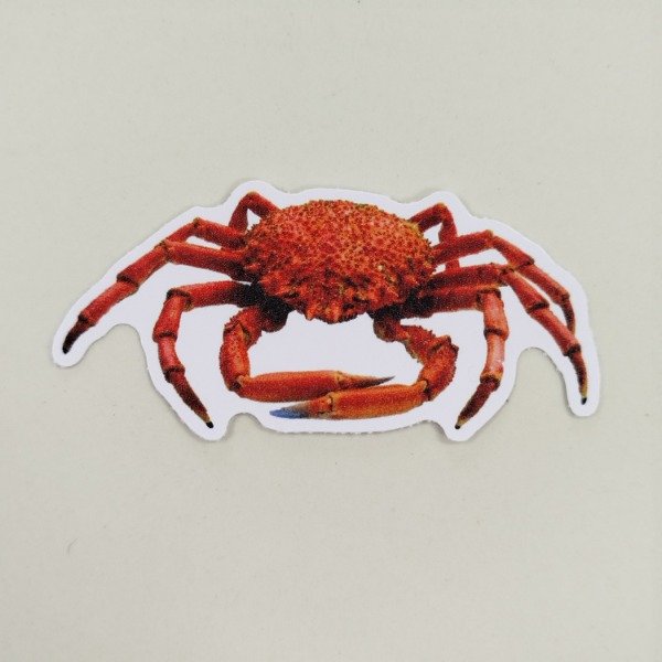 Producto - Sticker centolla