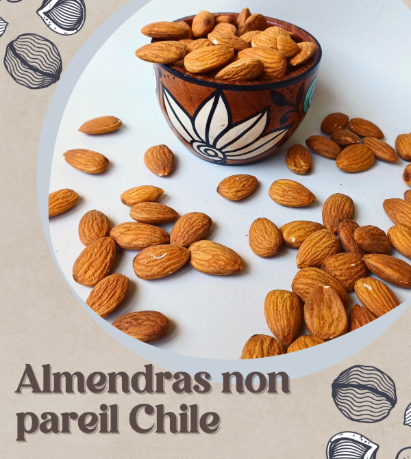 Producto - Almendras non pareil Chile
