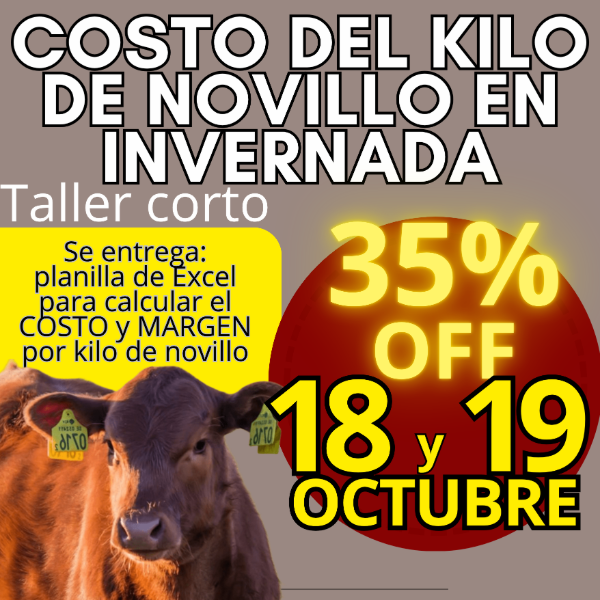 Producto - Taller corto: cálculo del costo del kilo de novillo - 0