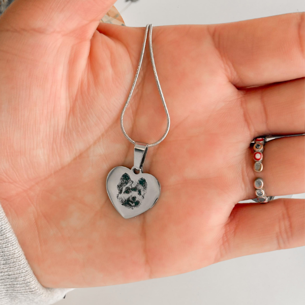 Producto - Collar heart mascota