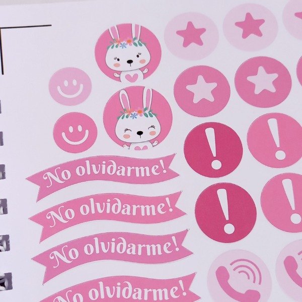 Producto - Cuaderno Pediatrico Conejio Rosa - 2