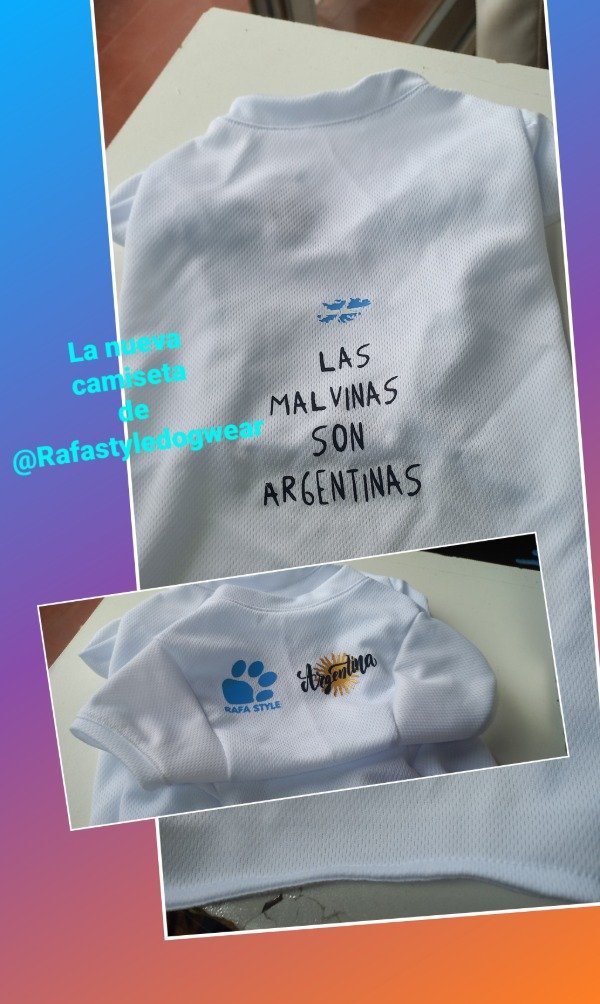 Producto - Remera "LAS MALVINAS SON ARGENTINAS" - 1