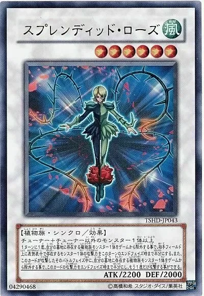 Producto - Splendid Rose - TSHD-JP043