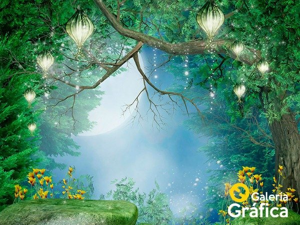 Producto - Paisaje FS 16