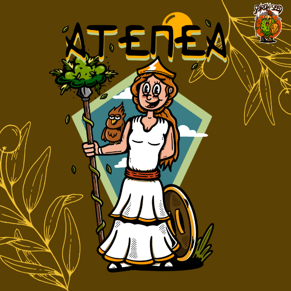 Producto - SEMILLA SPARTAN ATENEA - 1