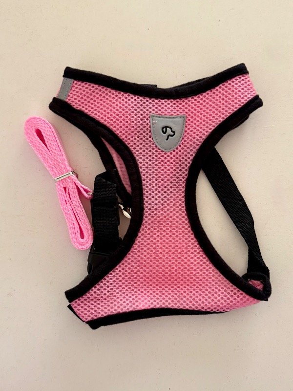 Producto - Pretales Red - 2