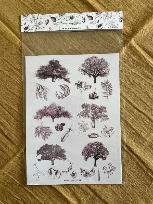 Producto - Stickers Plancha Árboles nativos 19x14cm - Arte Botánico