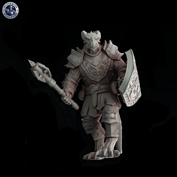 Producto - Dragonborn Paladin