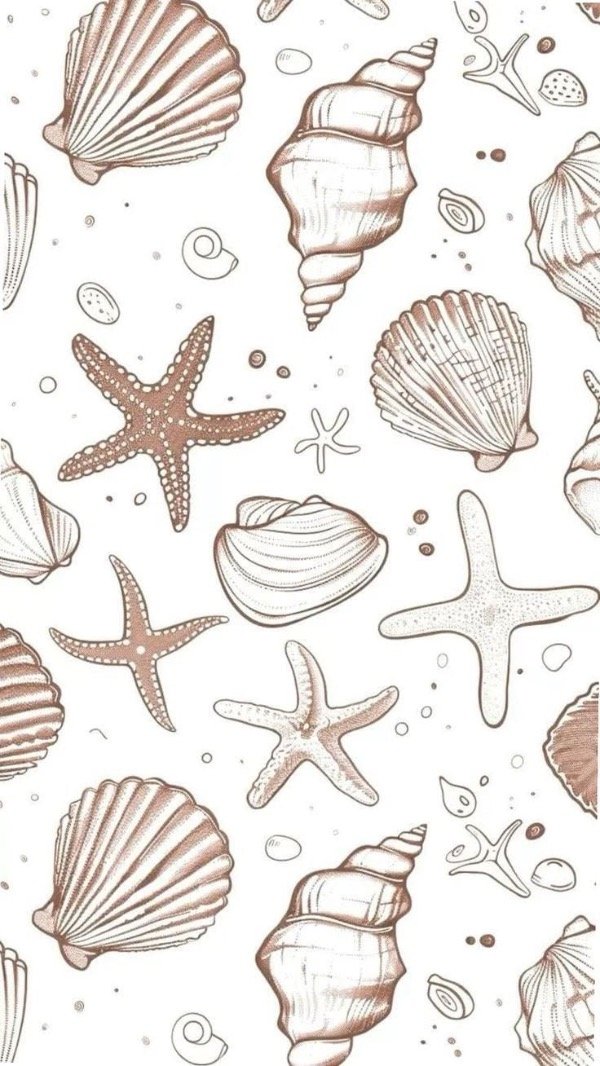 Producto - Regulable Mara tira ancha