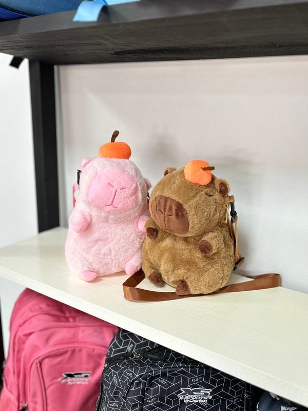 Producto - Mochi capibara