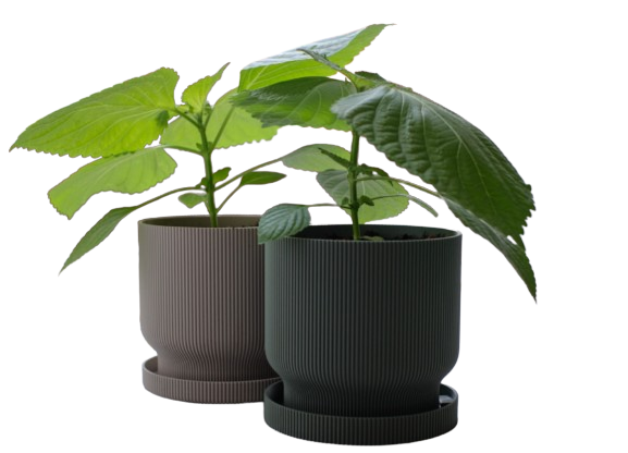 Producto - Maceta con Bandeja de Goteo