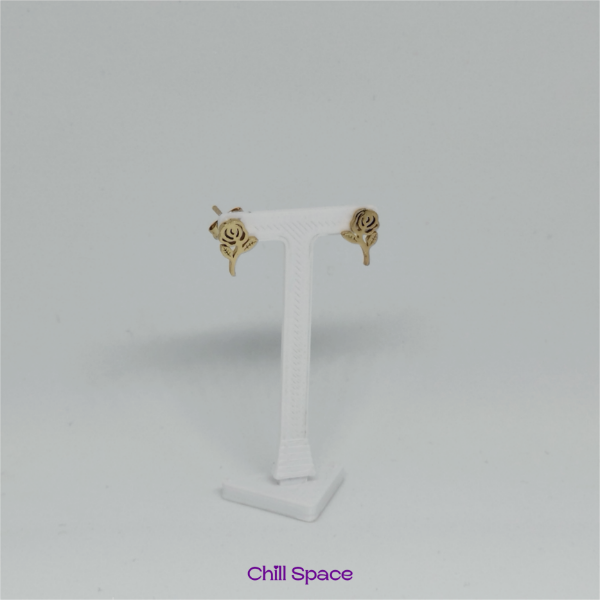 Producto - Aros Rosi