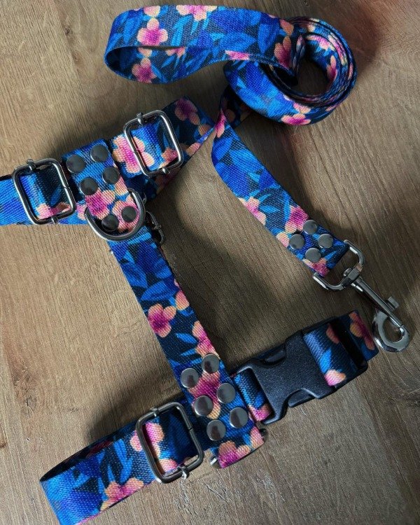 Producto - Pretal y correa HAWAII