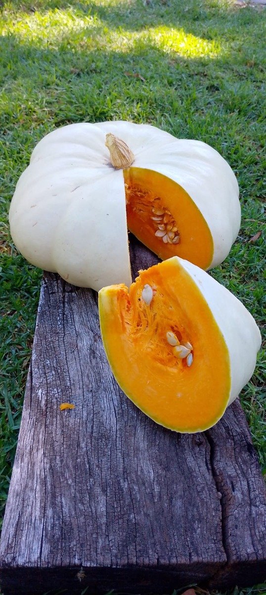 Producto - Semillas de calabaza flat White boer