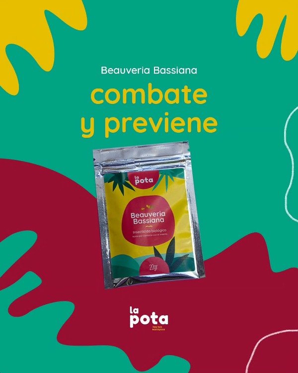 Producto - Bioinsecticida Beauveria Bassiana La Pota x 20 gramos - 1