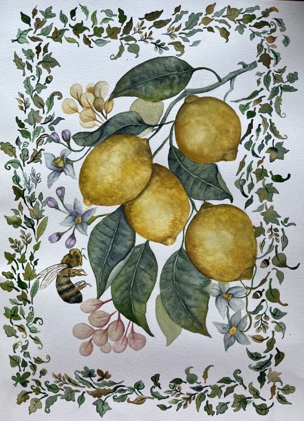 Producto - Lemon
