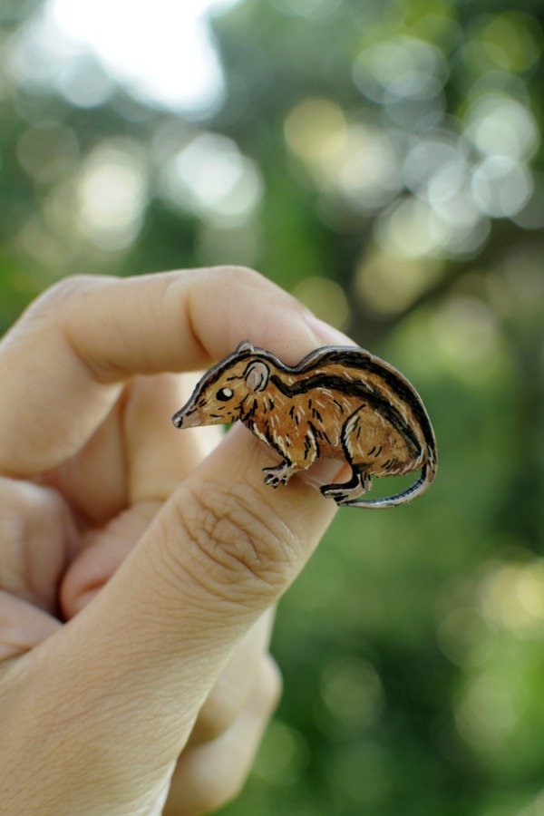 Producto - Colicorto / marsupial