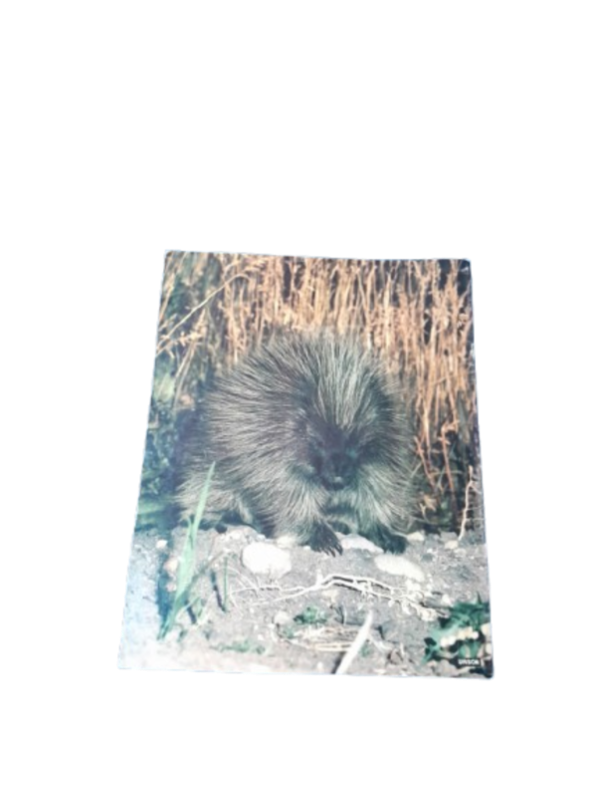 Miniatura de producto - 7