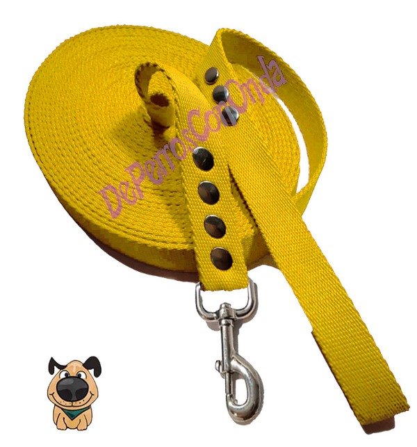 Producto - Correa de perro 10mts x 2cm reforzada segura educación recreación adiestramiento