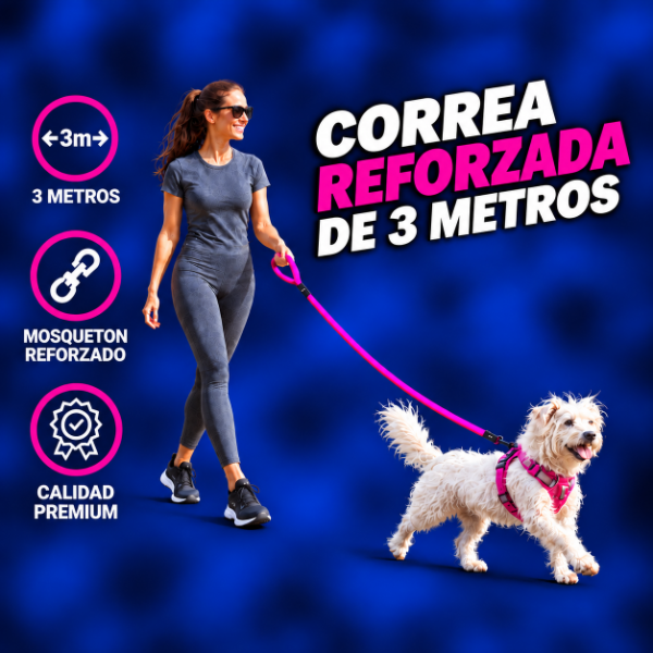 Producto - CORREA REFORZADA DE 3 Metros / 25mm - 1