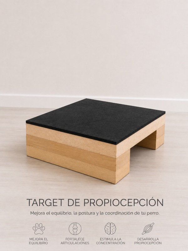 Producto - Target 20x20