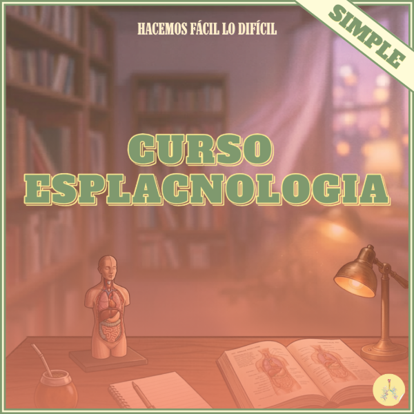 Producto - Curso Esplacno Simple