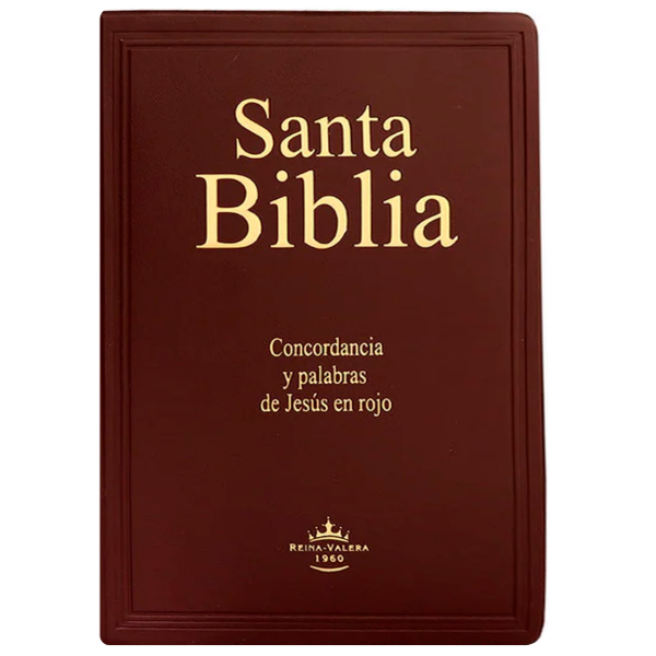 Producto - Biblia Promesas Reina Valera 1960 Letra Gigante Bordo