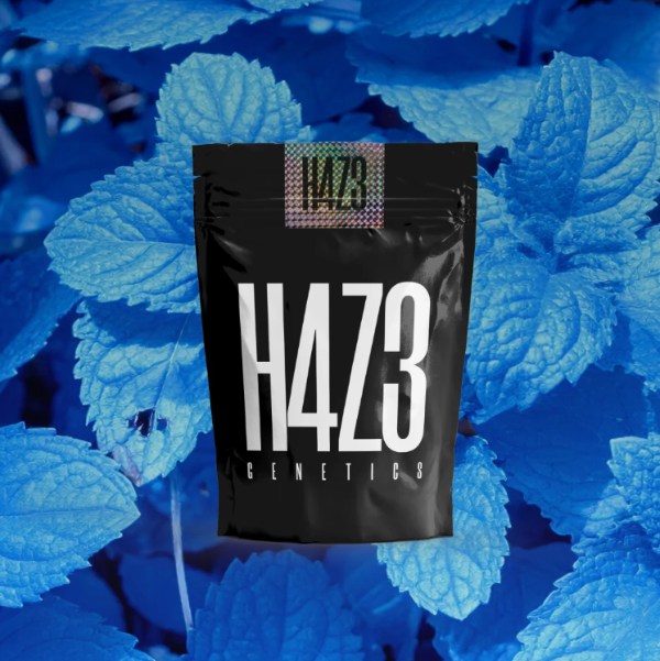 Producto - H4ZE Exotic Mints Autofloreciente x4