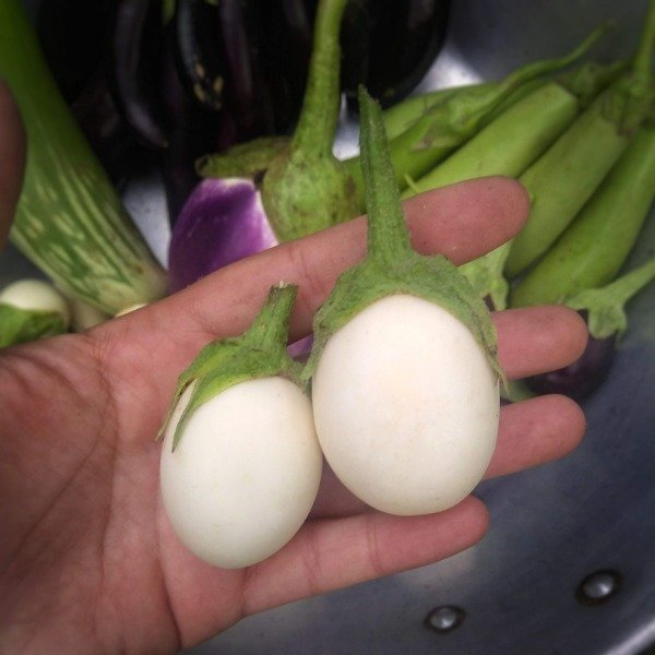 Producto - Berenjena Huevo