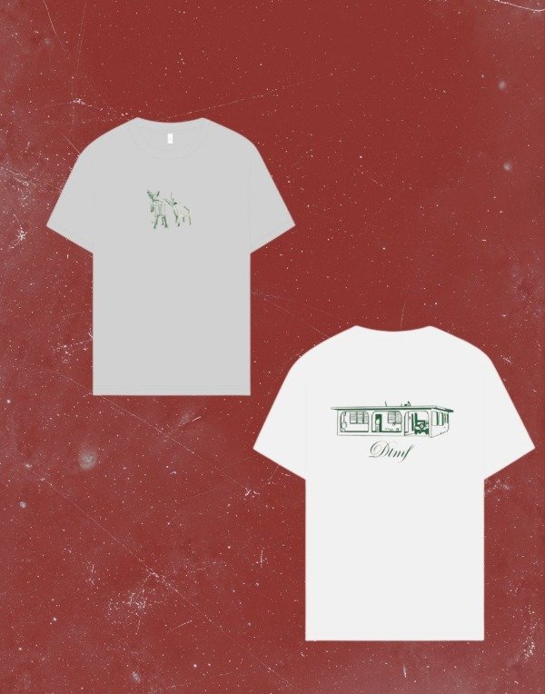 Producto - REMERA OVERSIZE - DTMF II