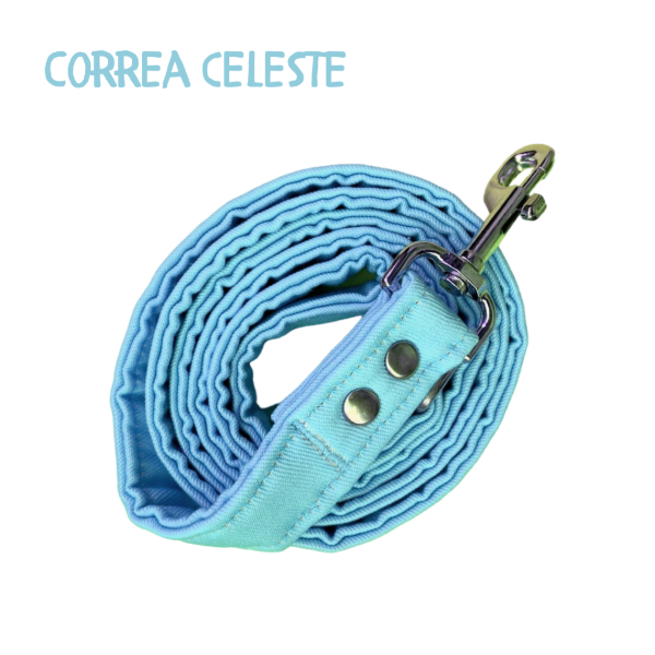 Producto - Correa CELESTE