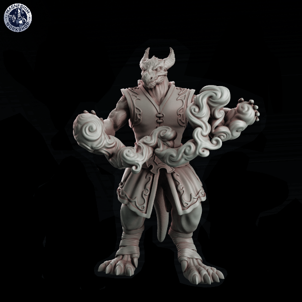 Producto - Dragonborn Hechicero / Mago