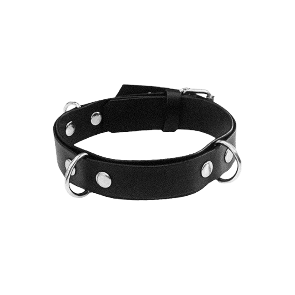 Producto - Choker Damon 25mm