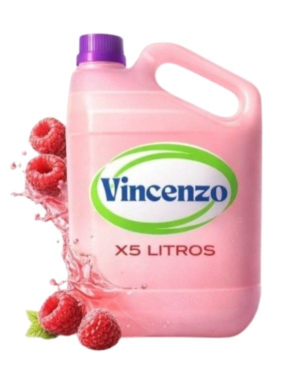 Producto - DETERGENTE CONCENTRADO X5LTS