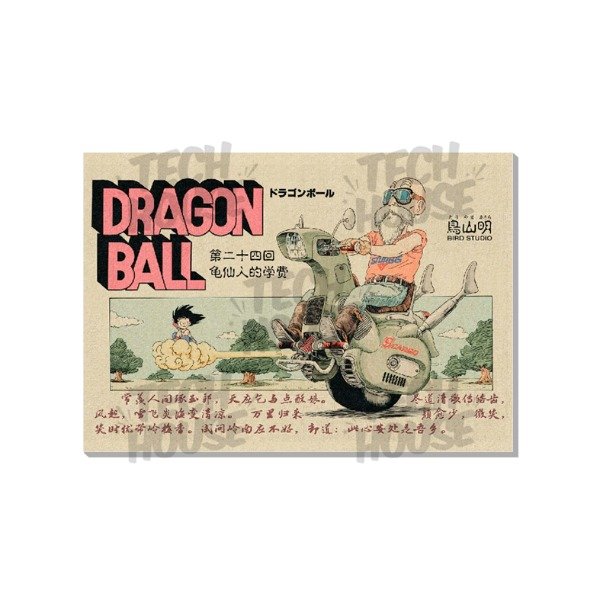 Producto - Dragon Ball - Cuadro 7