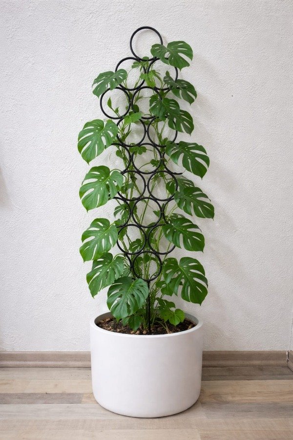 Producto - SOPORTE VERTICAL