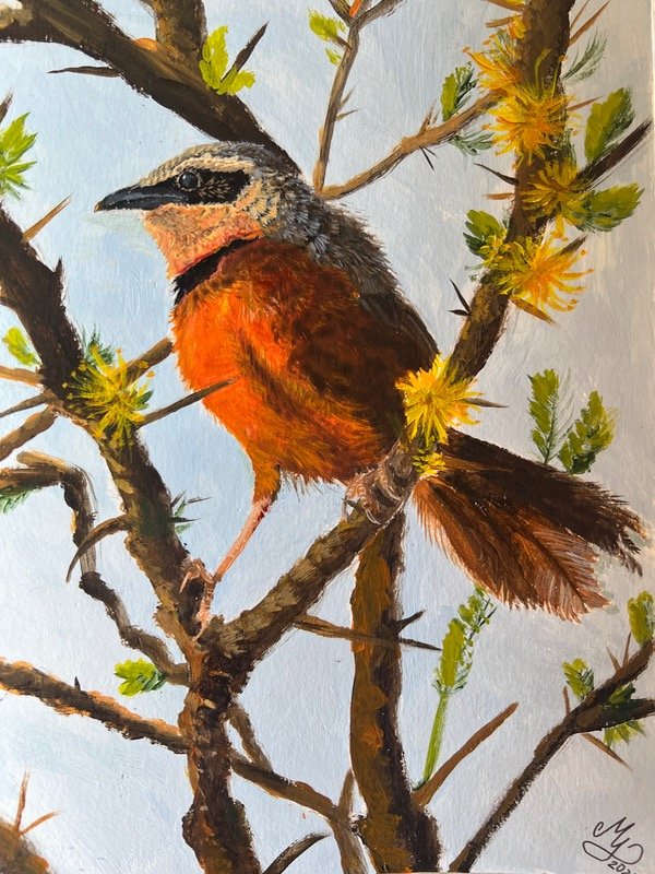 Producto - Pintura al acrílico sobre papel de un ave - 0