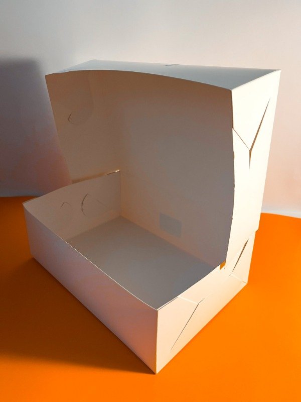 Producto - Caja s/v 26x17x9 (10u)