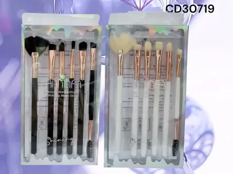 Producto - SET X6 BROCHAS SHINNIG